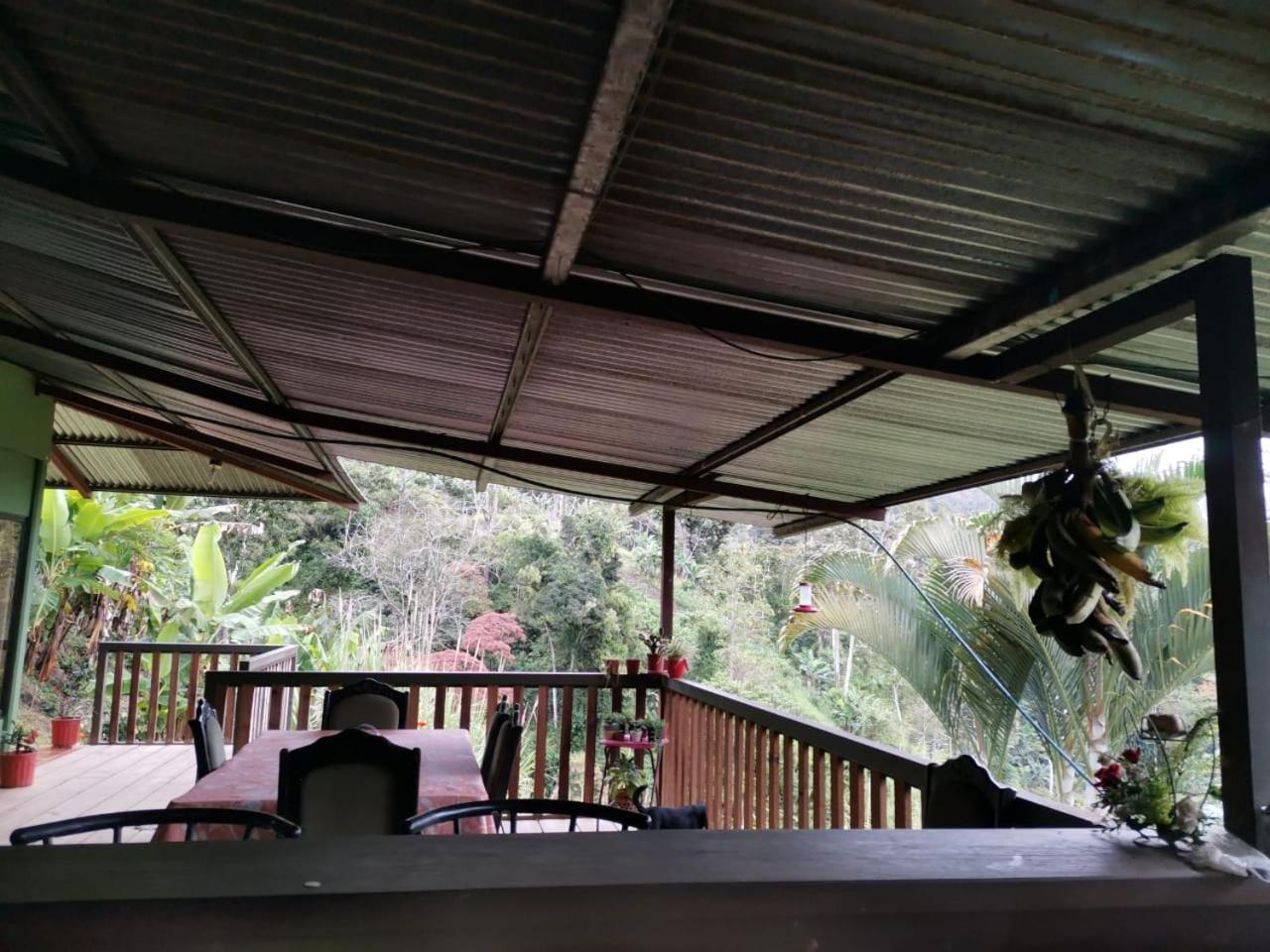 טוריאלבה Bella Vista Guest House מראה חיצוני תמונה