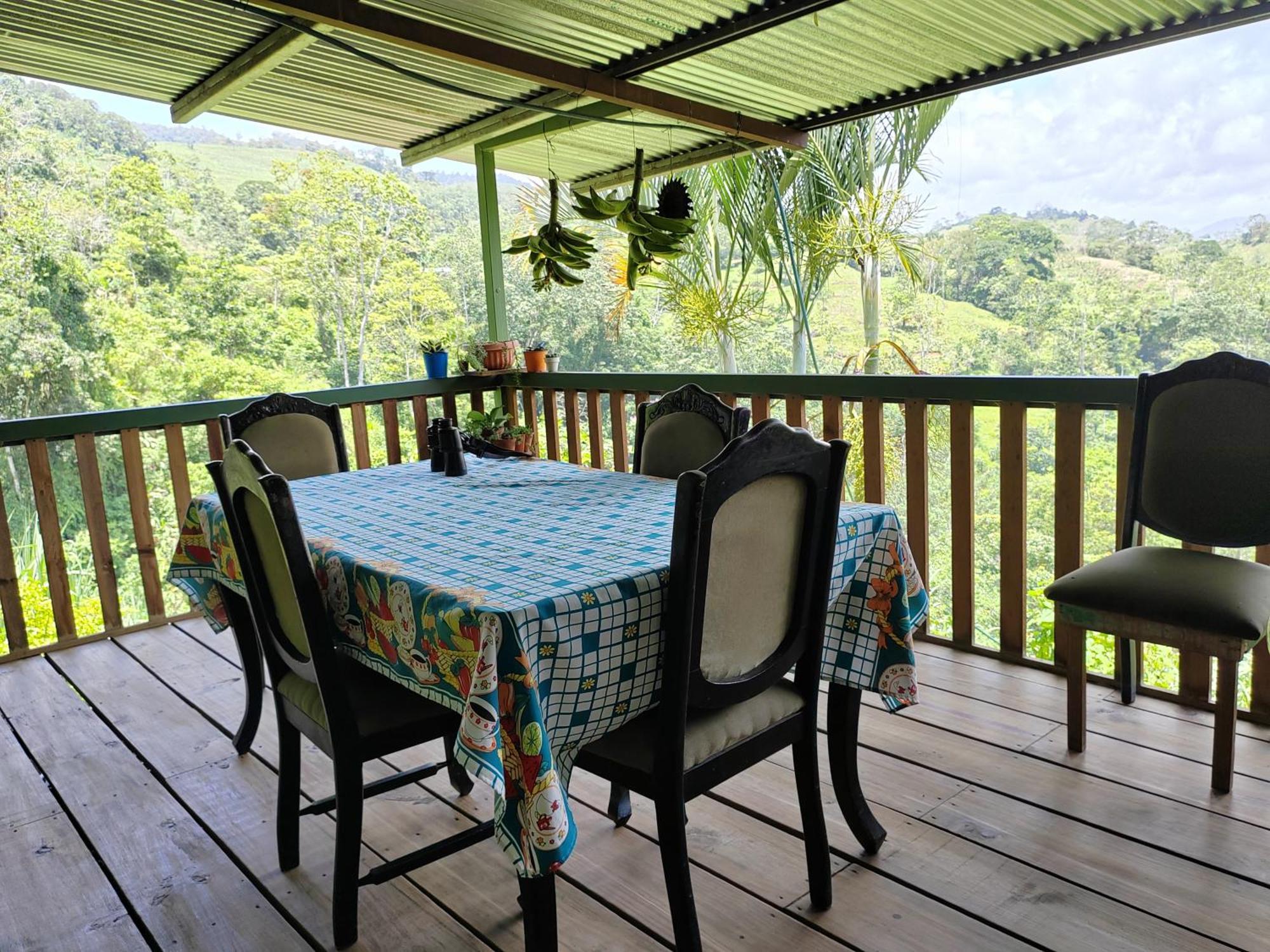 טוריאלבה Bella Vista Guest House מראה חיצוני תמונה
